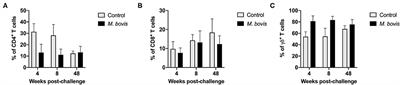 Enhanced Detection of Mycobacterium bovis-Specific T Cells in Experimentally-Infected Cattle